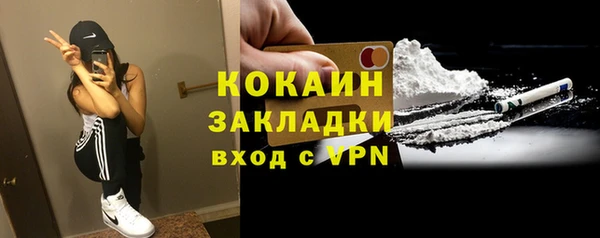 кокс Вяземский