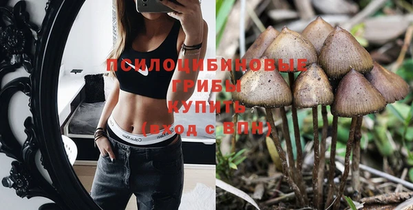 mix Вязьма